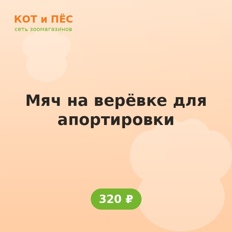 Мяч на верёвке для апортировки